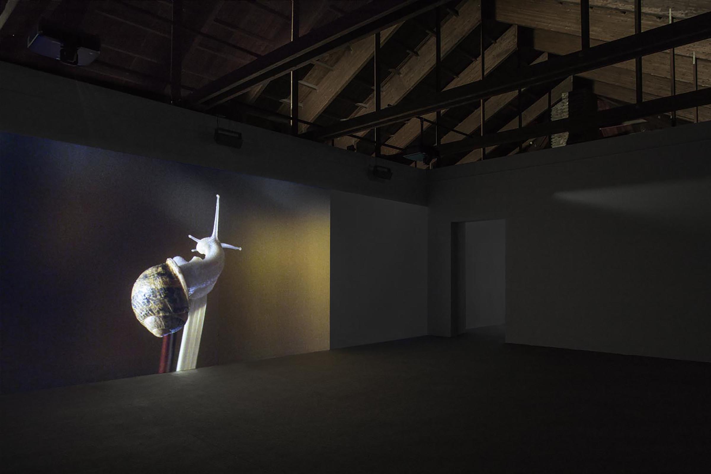 Anri Sala, If and only if, 2018